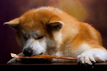 metamask钱包官网地址